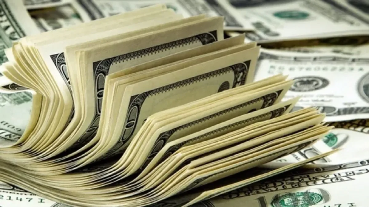 Ahorristas incrementan su inversión en dólar ahorro: diciembre marca un repunte del 57%