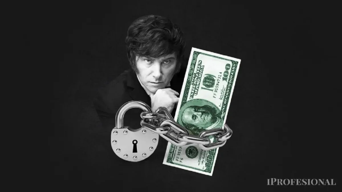 El fin del cepo cambiará las reglas del juego para el mercado argentino