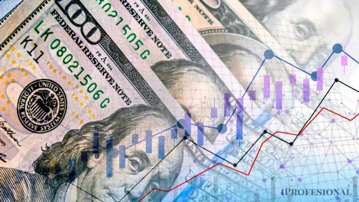 Empresas se preparan para el dólar libre: impacto en las reservas y el mercado local